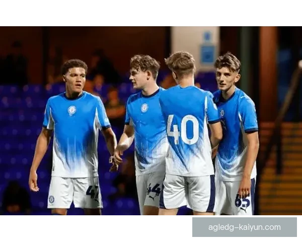 尼斯关键球员状态回暖，表现稳健助球队争取更好成绩