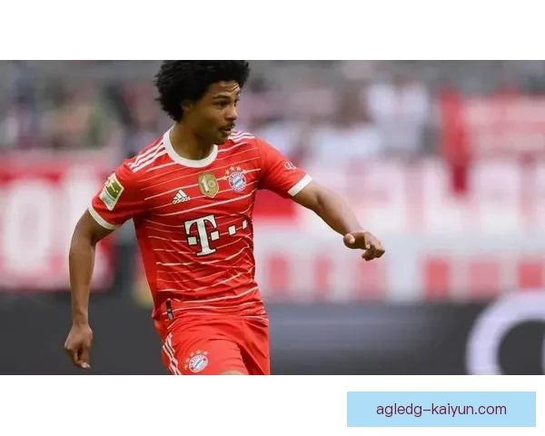 格纳布里技术细节拆解：进攻策略与防守应对分析