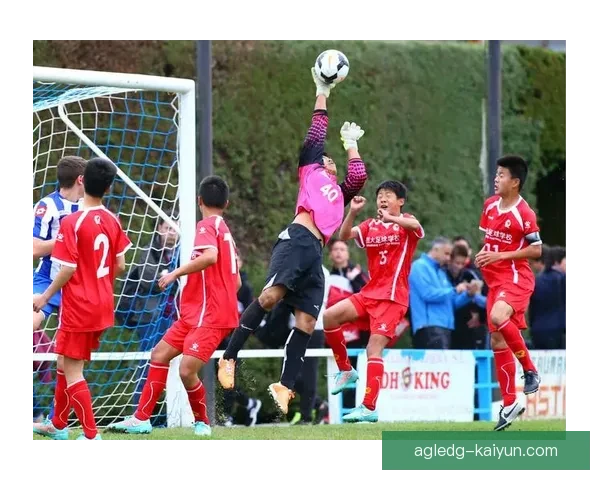 非洲足球青训体系持续提升，优秀人才涌现备受关注