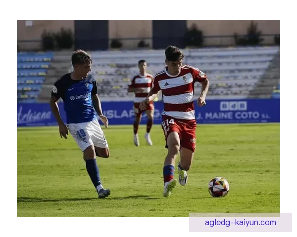 奥萨苏纳边路进攻表现稳健，持续为球队创造机会