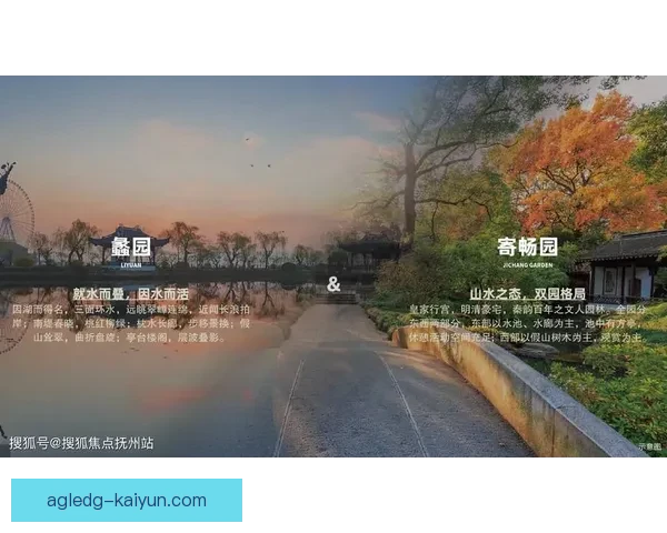 卡马文加比赛阅读能力逐渐提升，表现稳健引发关注